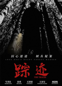 成入视频在线观看